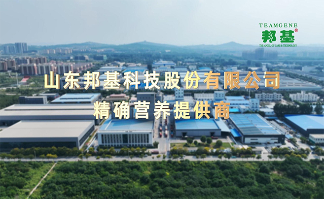 山東邦基科技股份有限公司官方網站